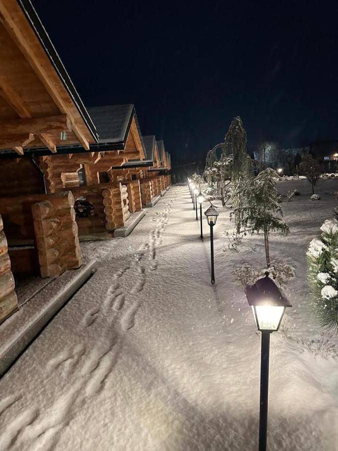 Hotel Complex Bosco Borşa Exterior foto